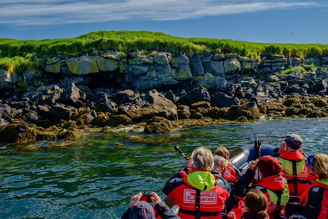 Premium Small-Group Puffin & Bird Watching tour from Reykjavík - Price, Value, and Why This Small Group Format Matters