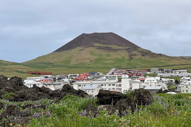 PRIVATE 2-Hours Tour - Westman Islands with a local in a BMW X5 - Price and value on Heimaey: is $607 per group worth it?