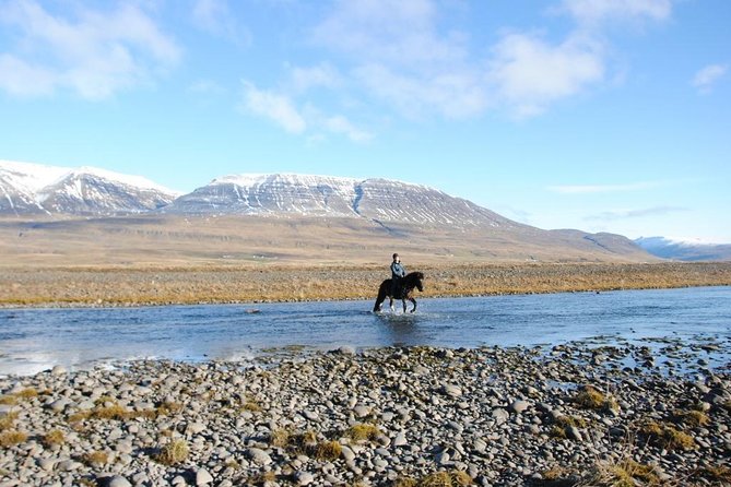 Private 3-Hour Horseback Riding Tour - Why a private 3-hour horseback tour near Akureyri feels different