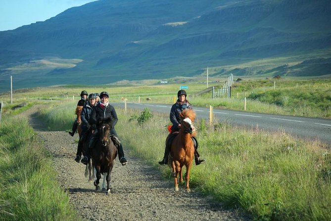 Private 3-Hour Horseback Riding Tour - Icelandic horse gaits and why your experience level matters