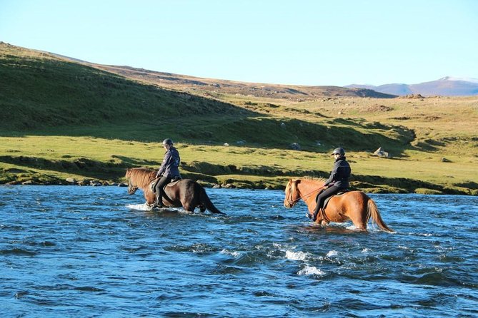 Private 3-Hour Horseback Riding Tour - Price and value: does $230.45 make sense for a private 3-hour ride?