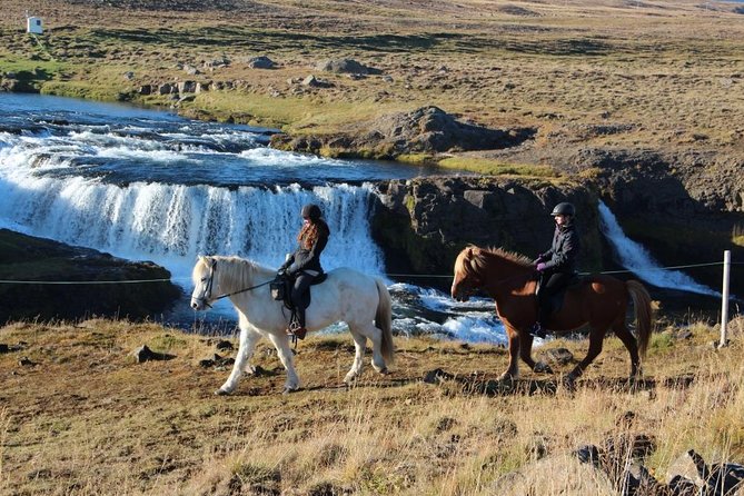 Private 3-Hour Horseback Riding Tour - Who should book this, and who should choose a different plan