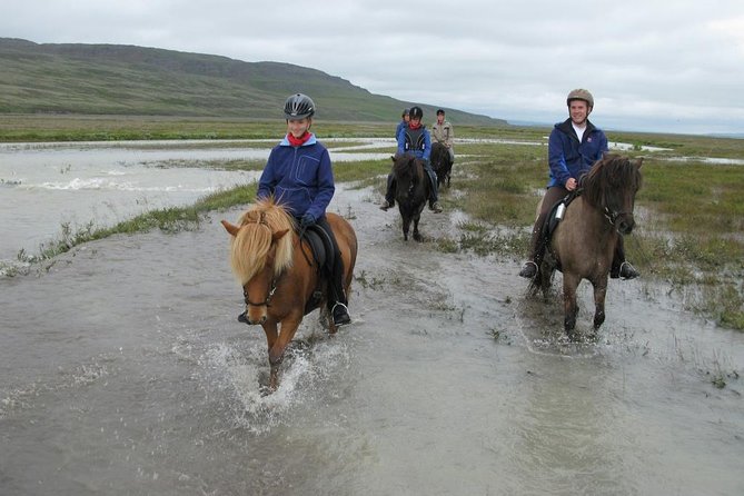 Private 3-Hour Horseback Riding Tour - FAQ