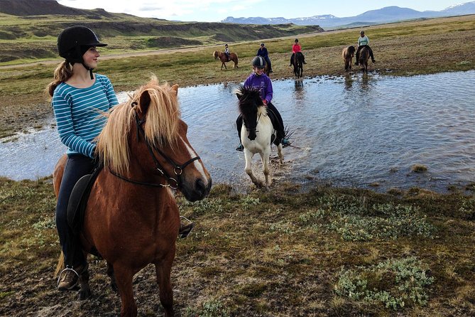 Private 3-Hour Horseback Riding Tour - Meeting at Hestasport, then gearing up for real Iceland weather