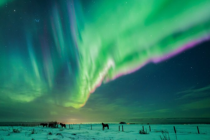 Private Aurora Hunt with Photos in Super Defender - Professional photos plus tips for shooting your own northern lights