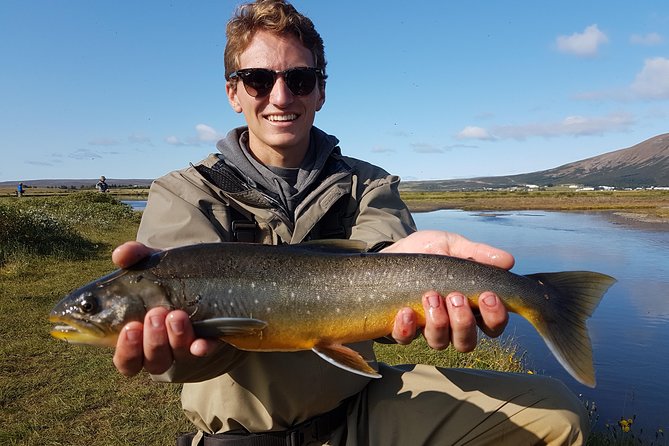 Private Fishing Tour from Reykjavik - Arctic Char and Brown Trout - From Reykjavik to Thingvellir, then straight to the river