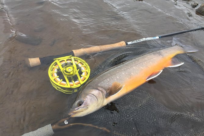 Private Fishing Tour from Reykjavik - Arctic Char and Brown Trout - The flow of the day: timing that makes sense