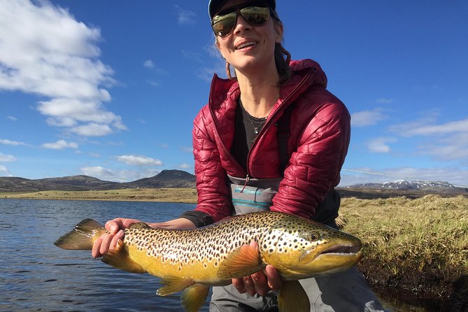 Private Fishing Tour from Reykjavik - Arctic Char and Brown Trout - Price and value: what you pay for, and why it can be worth it