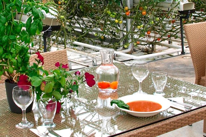 Private Golden Circle, Sky Lagoon and Friðheimar Greenhouse Lunch - Value and pricing: what you’re really paying for at $3,215 per group