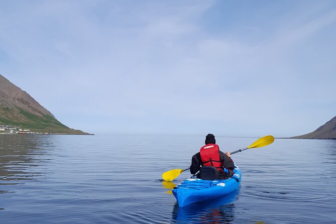 Private: Guided kayak tour in Siglufjörður / Siglufjordur. - Key highlights you will feel on the water
