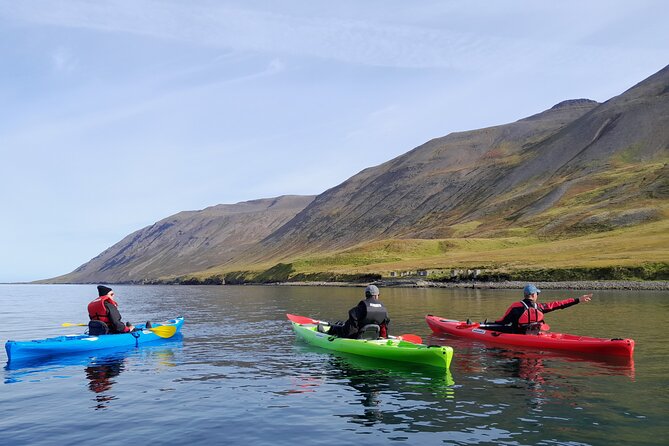 Private: Guided kayak tour in Siglufjörður / Siglufjordur. - Entering The Sigló fjord with real coaching, not just a tour