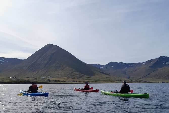 Private: Guided kayak tour in Siglufjörður / Siglufjordur. - Wrap-up at Sigló Sea HQ: quick debrief and what to do next