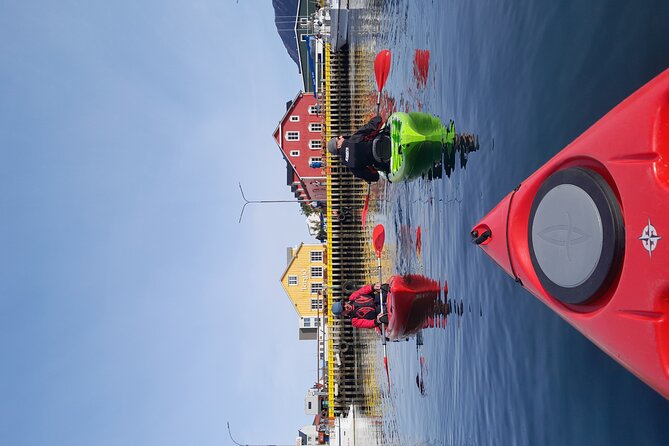 Private: Guided kayak tour in Siglufjörður / Siglufjordur. - Price and value: what $508.04 per group really buys you