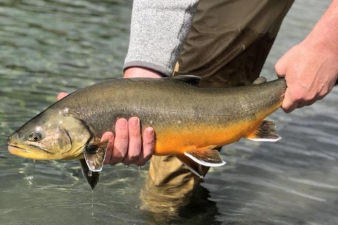 Private Lake and River Fishing Tour from Reykjavik - A Full Day of Fishing With the Golden Circle Detour