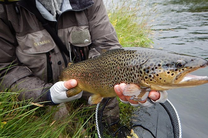Private Lake and River Fishing Tour from Reykjavik - Fly Fishing Possible, With Coaching That Moves at Your Pace