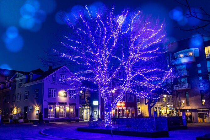 Private Reykjavik Christmas Walking Tour - A 2-hour Christmas loop that starts at Ingólfur Square