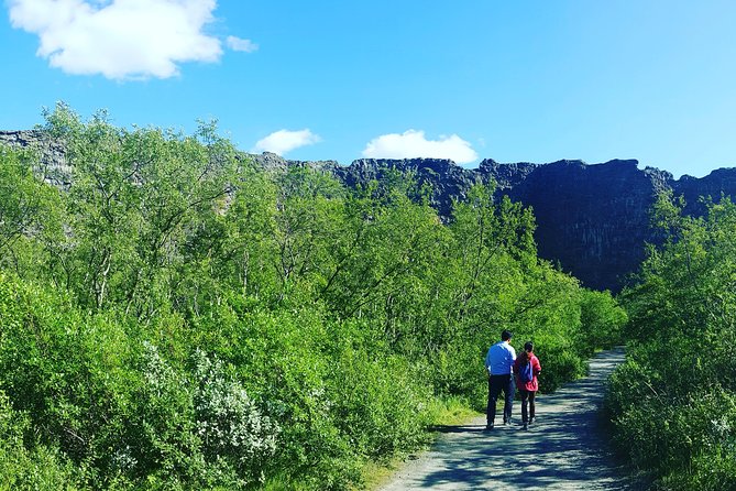 Private Tour in Northern Iceland from Akureyri - Lake Mývatn: steam, shore views, and a pause that helps