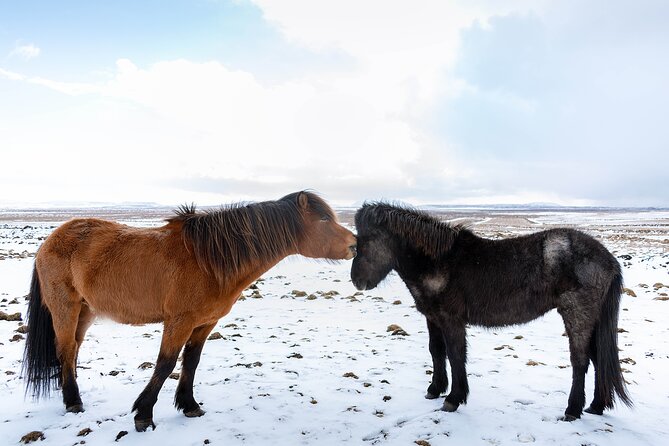 Private Tour Of The Golden Circle With Farm Visits In Iceland - Door-to-Door Pickup Around Reykjavik, With Guides Like Julien, Mervi, and Otto