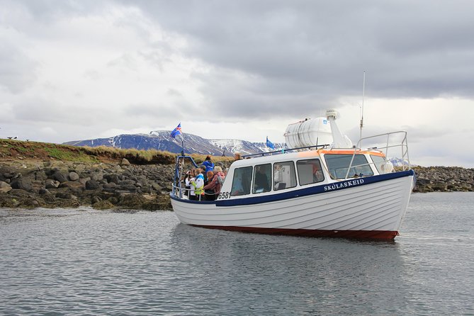 Puffin Cruise with Expert Tour Guide from Reykjavik - Akurey Island Viewing: Where the Puffins Really Are