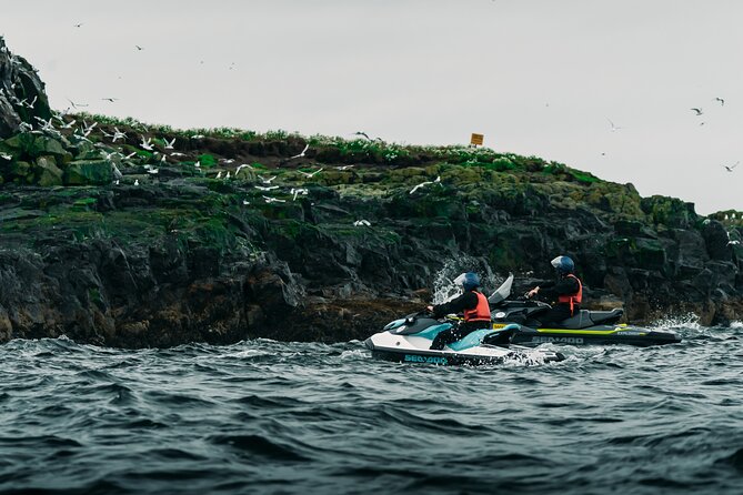 Puffin Jet ski tour in Reykjavík - Puffin Island and seabirds: the main event, and how to watch well