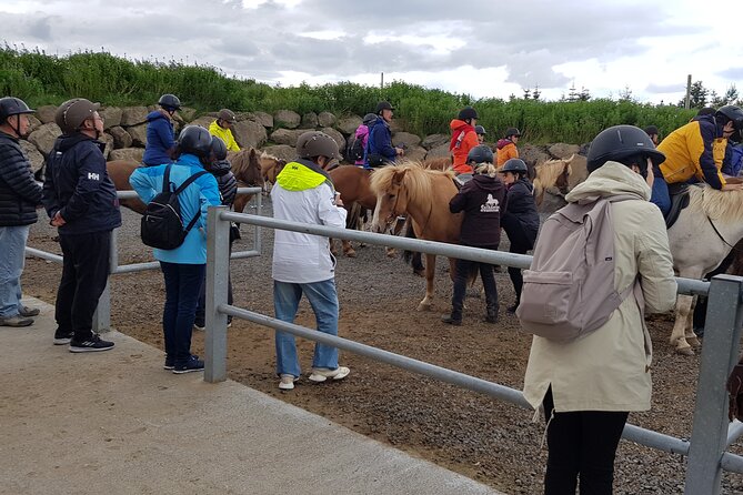 Red Lava Horse Riding Tour From Reykjavik - Picking a Horse First, Then Riding the Red Lava