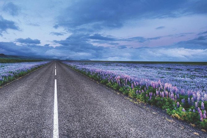 Rent Unlimited High Speed pocket Wifi in Iceland - Registration and first connection: watch the order code length
