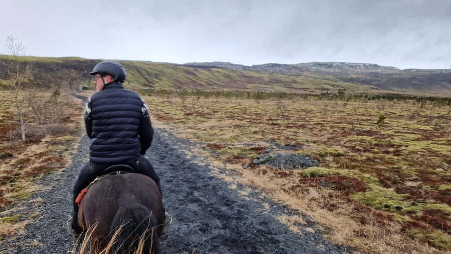 Reykjadalur: Horseback Riding Tour for Families & Beginners - Key things that make this Reykjadalur ride worth your time