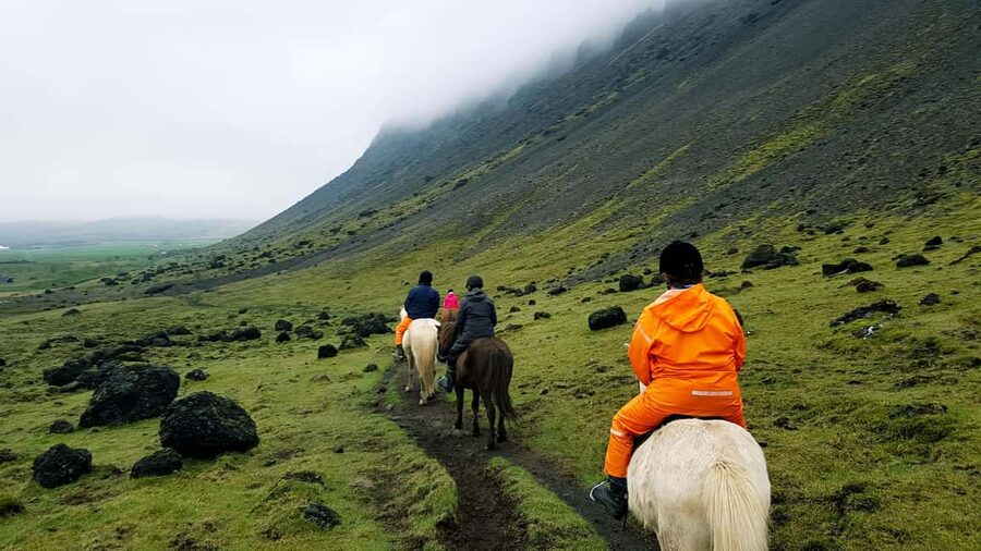Reykjadalur: Horseback Riding Tour for Families & Beginners - Price and value: what $104 per person is really buying