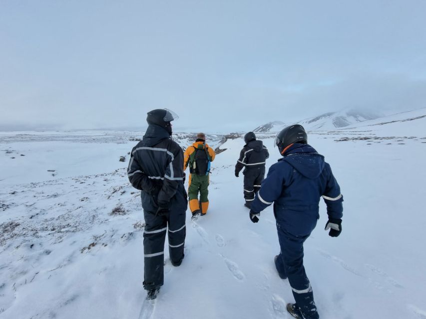 Reykjahlid: Snowmobile Adventure by Lake Mývatn - Why snowmobiling near Mývatn feels like the real Iceland you came for