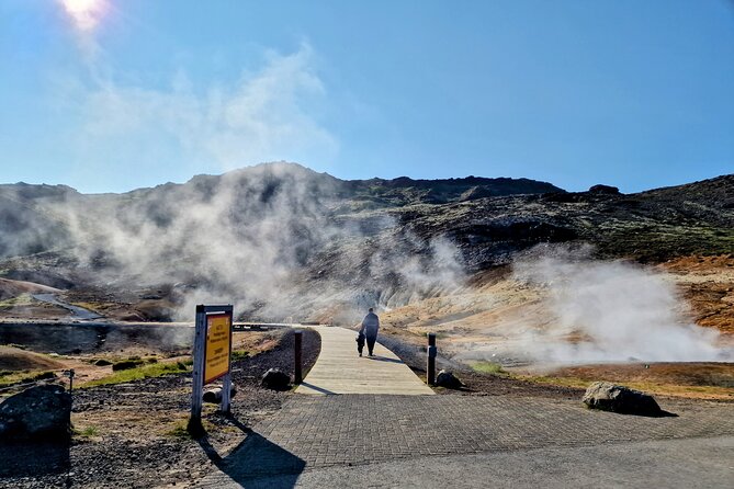 Reykjanes Peninsula Private tour Iceland - Price and Value: What $600 Buys for Up to 7