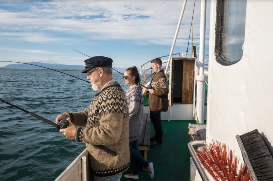 Reykjavik: 3-Hour Sea Angling Gourmet Experience Tour - How the fishing works: catching cod, haddock, mackerel, and pollack