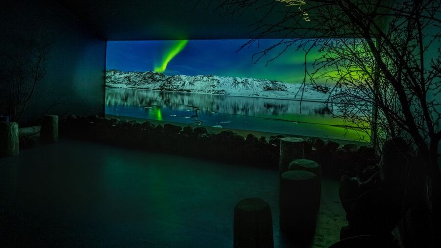 Reykjavik: Aurora Reykjavik The Northern Lights Center Entry - The exhibition: from Arctic stories to what the Sun is doing in the background