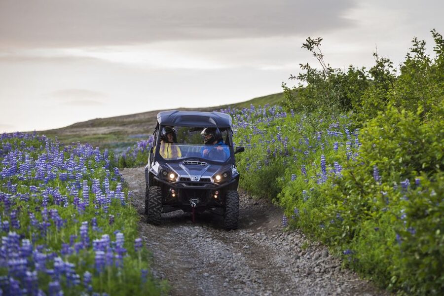 Reykjavik: Buggy Safari Tour with Hotel Transfers - What is included, what is not, and how to plan your day