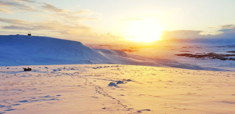 Reykjavik: Buggy Safari Tour with Hotel Transfers - The buggy setup: what makes these rides feel confident