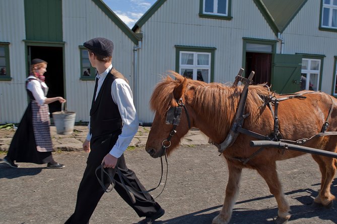 Reykjavik City Card 24-hour - The Reykjavik Family park and Zoo: more than you might expect