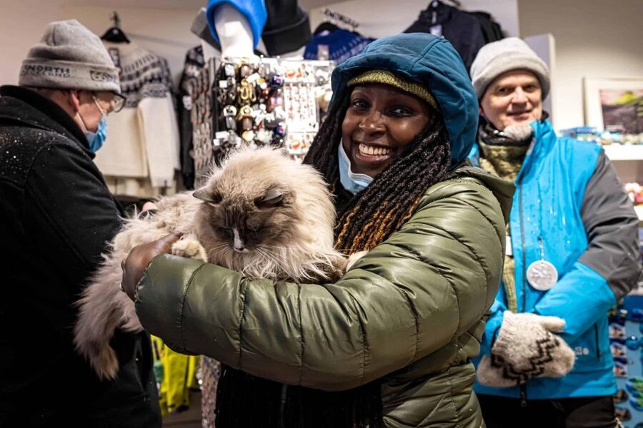 Reykjavik: Feline-Focused City Walking Tour - Reykjavik’s cat culture is a whole-city game