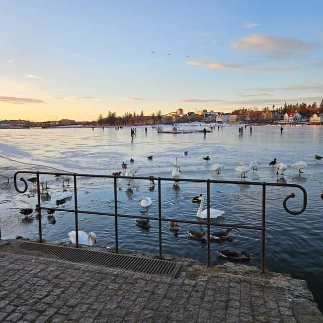Reykjavik: Food Tour by locals - Old Harbour House start: where the tour finds its flavor