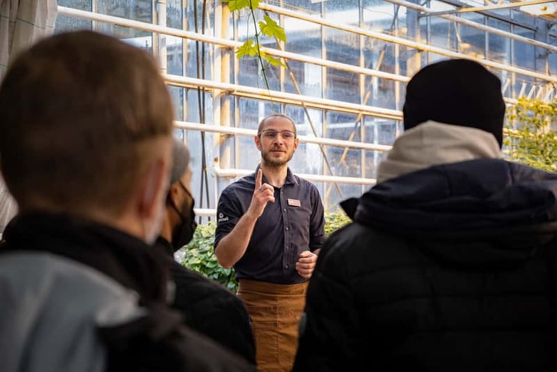 Reykjavik: Full-Day Golden Circle & Geothermal Greenhouse - Price and value: is $90 for this Golden Circle mix a fair deal?