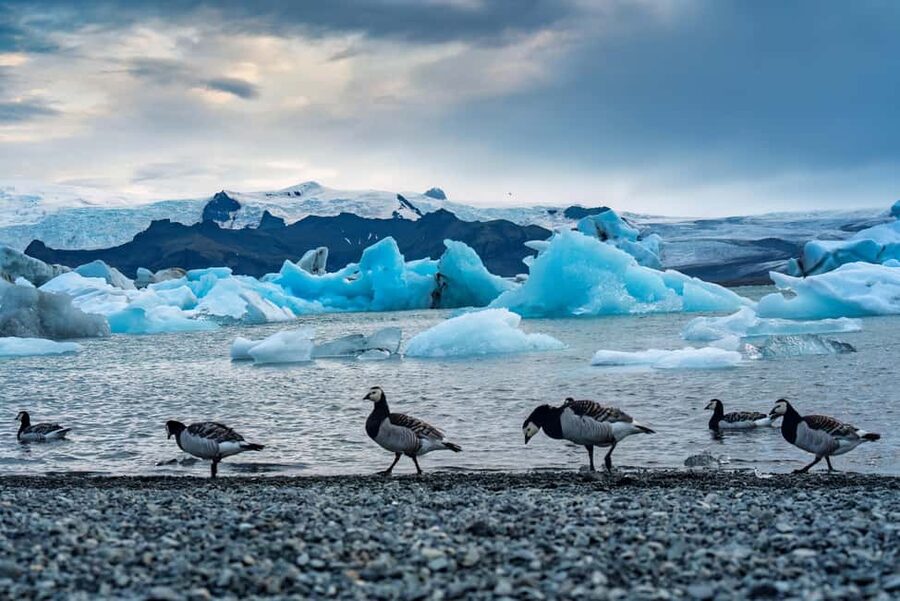 Reykjavik: Glacier Lagoon, Diamond & Black Beach 冰岛冰河湖中文一日团 - Seljalandsfoss after the long drive, mist first