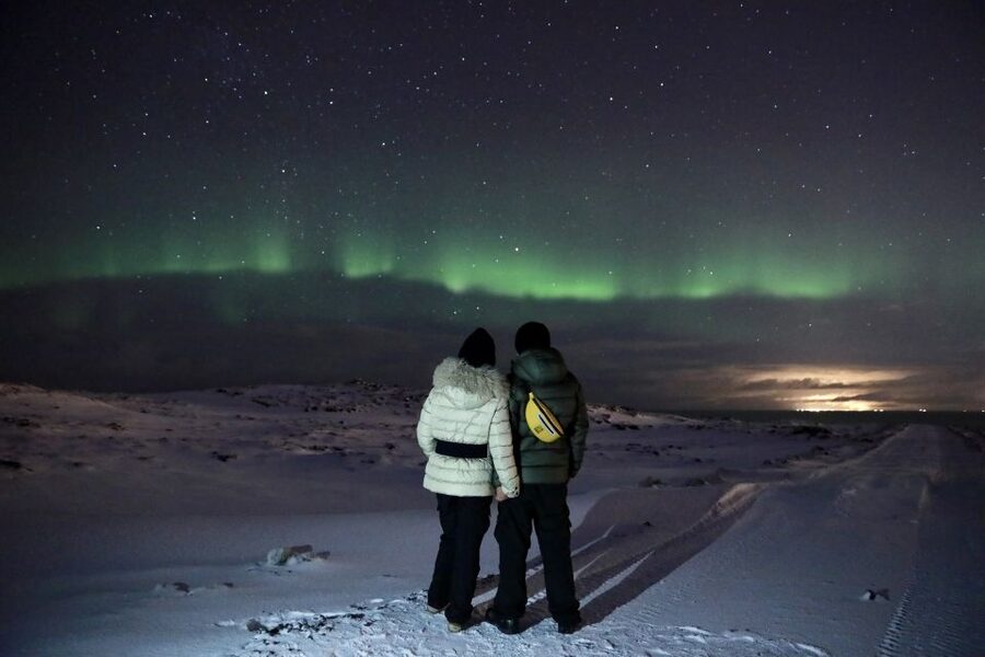 Reykjavík: Golden Circle, Blue Lagoon & Northern Lights Tour - How to plan your body for Blue Lagoon plus an aurora night
