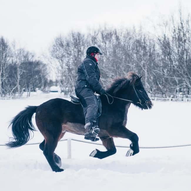 Reykjavik: Golden Circle, Farm & Sky Lagoon Small-Group Tour - Price and value: is $235 worth it?
