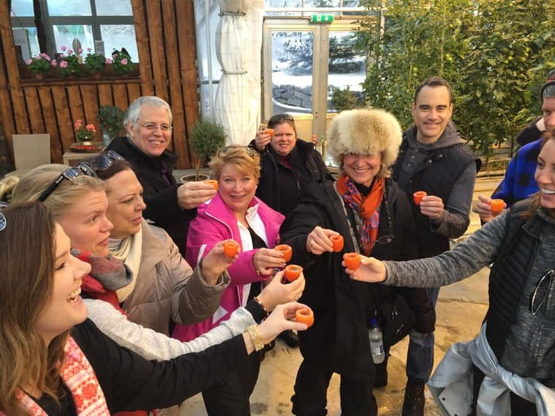 Reykjavik: Golden Circle, Farm & Sky Lagoon Small-Group Tour - Starting in Reykjavik, with pickup that sets the tone
