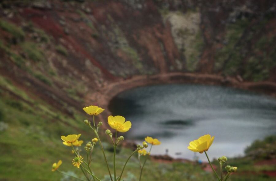 Reykjavík: Golden Circle Geological Jeep Day Trip - Small group, geologist guide, and what that means for your experience