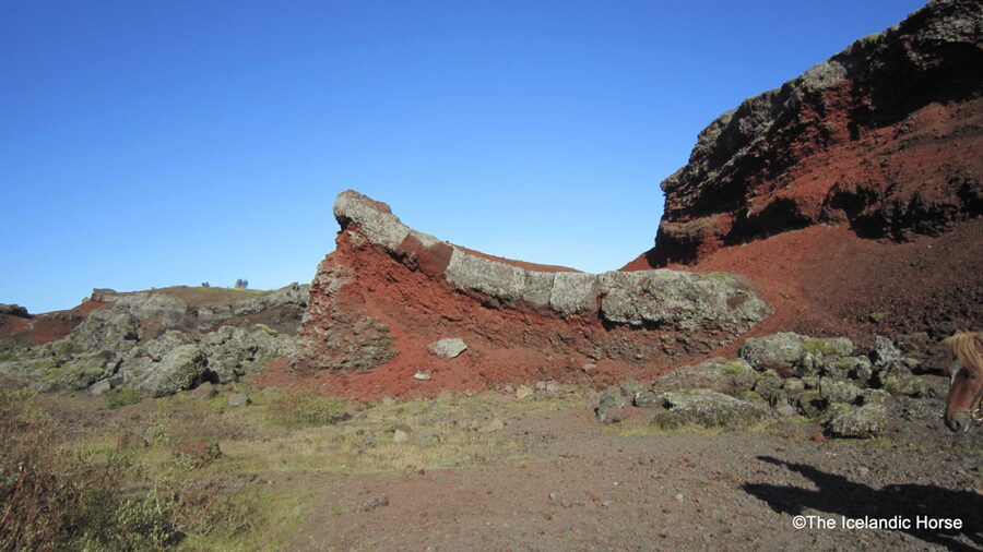 Reykjavík: Horse Riding Tours - Key Things That Make This Ride Worth It