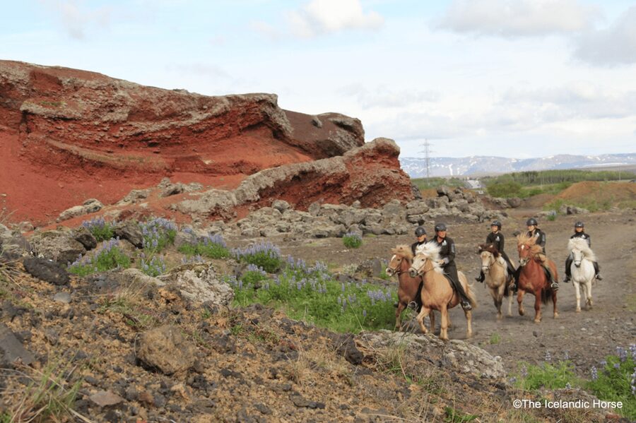 Reykjavík: Horse Riding Tours - Why This 2-Hour Reykjavik Horse Ride Works So Well