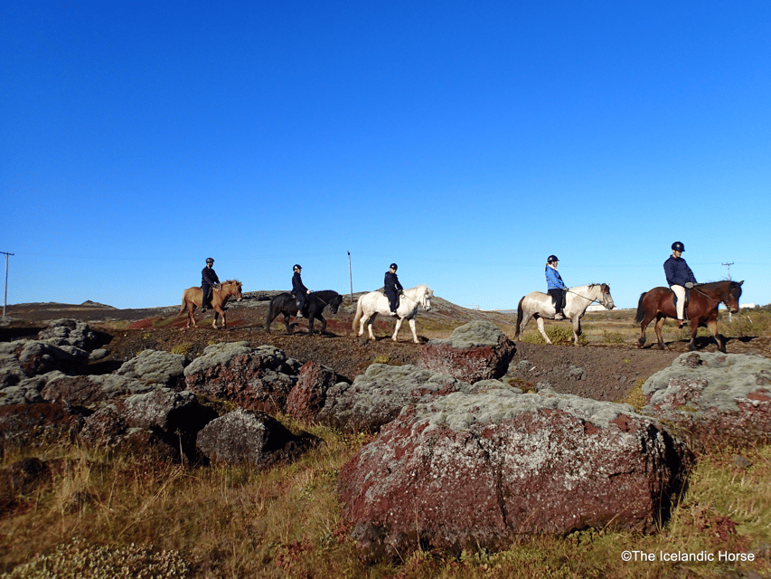 Reykjavík: Horse Riding Tours - Getting There: The Stables and the Boom Barrier Gate