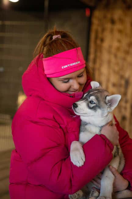 Reykjavík: Husky Kennel Visit with Hot Drinks - Why a husky kennel near Reykjavík feels special