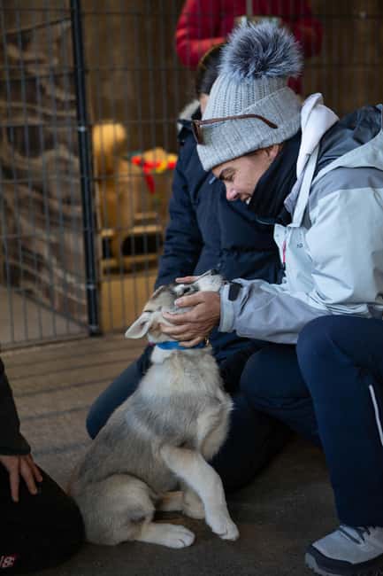 Reykjavík: Husky Kennel Visit with Hot Drinks - The hot drinks by the open fire, plus cookies and a typical Icelandic donut