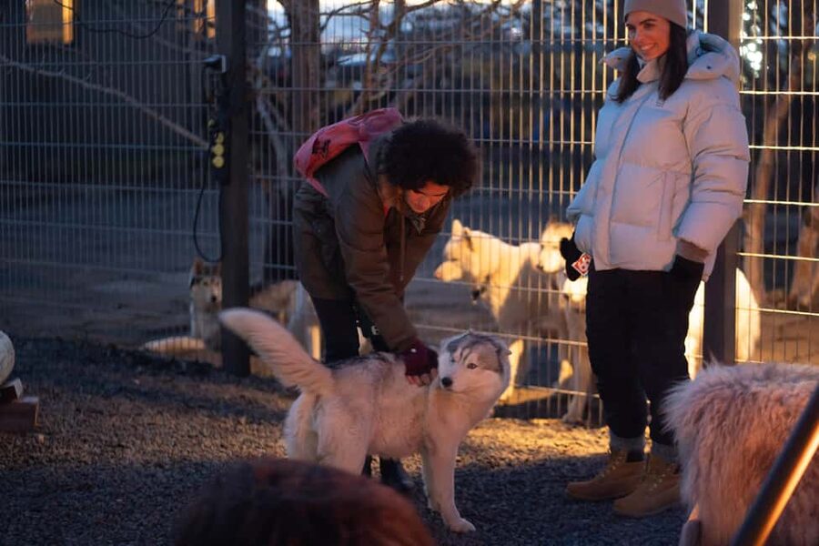 Reykjavík: Husky Kennel Visit with Hot Drinks - Who might want to choose something else