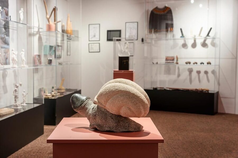 Reykjavik: Icelandic Phallological Museum Entry Ticket - Key things to know before you go